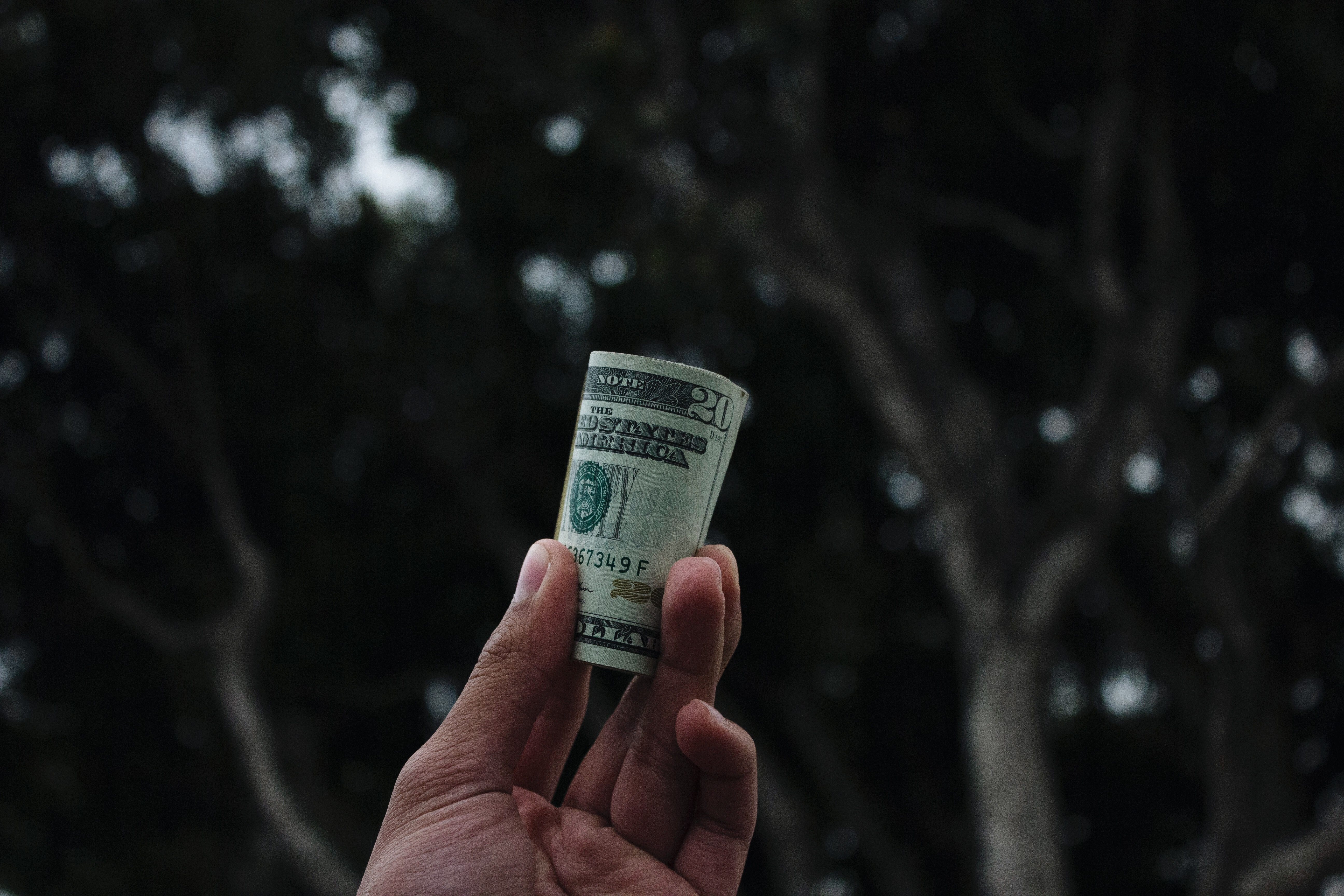 image of money in a person's hand
